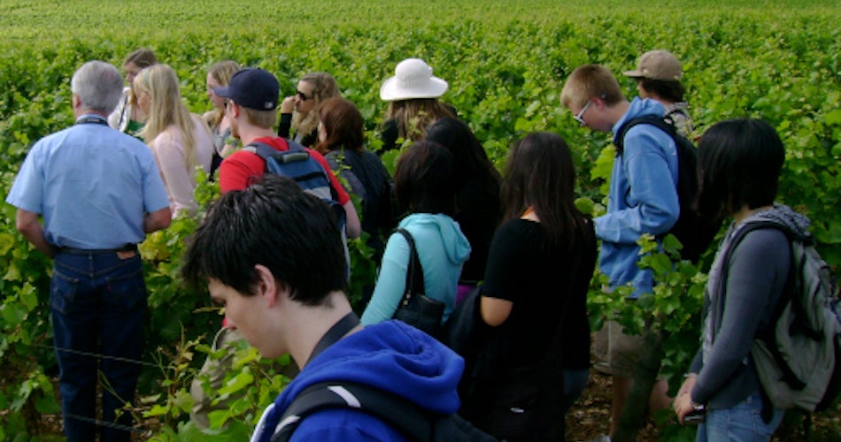 ˽̳ Davis students during a winemaking course in France.