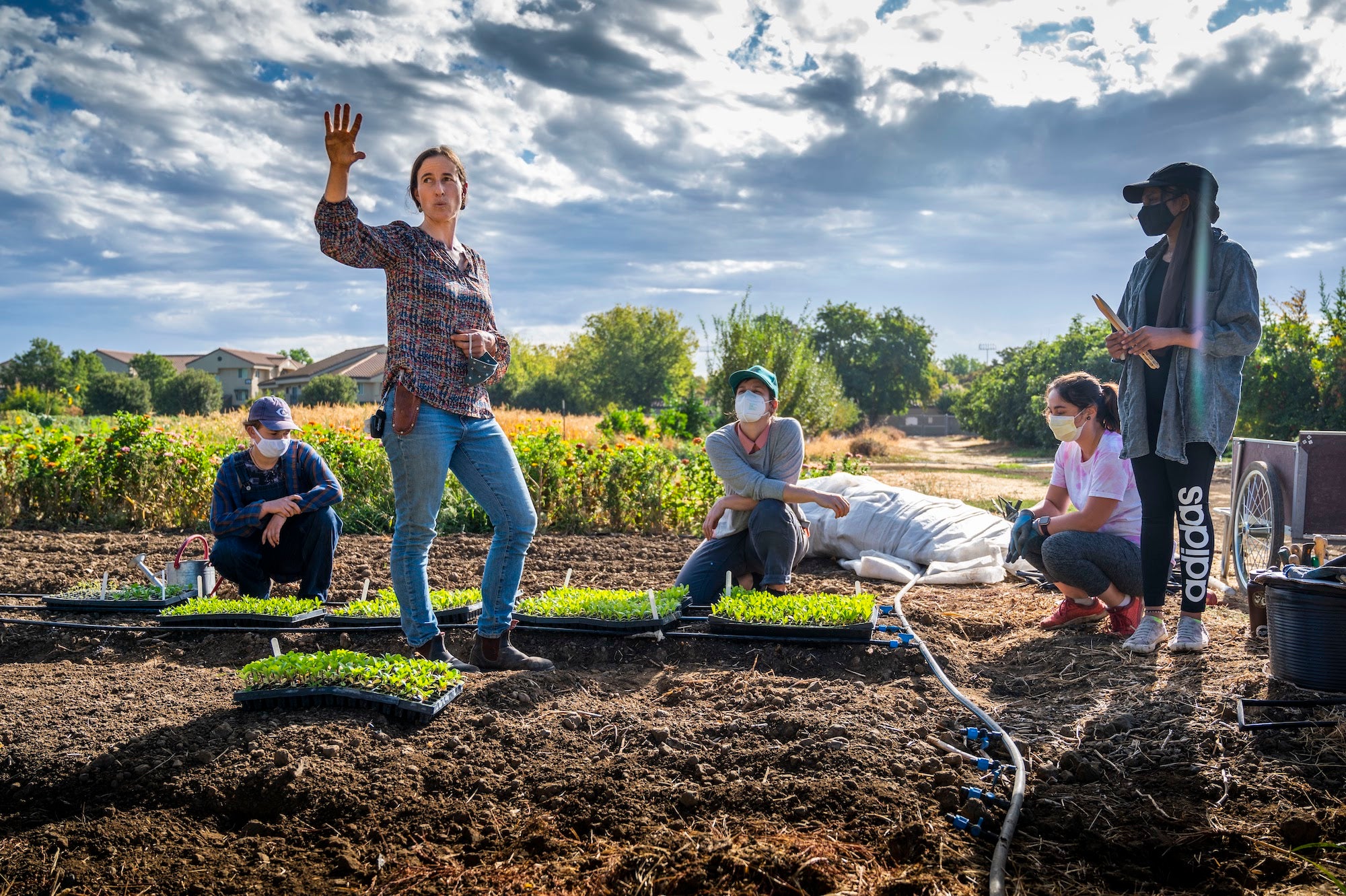 Students gardening in Yolo County near ˽̳ Davis student farm