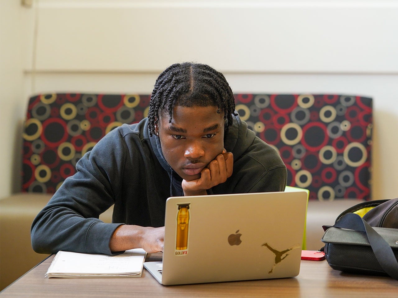 A ˽̳ Davis student researches on a silver laptop.