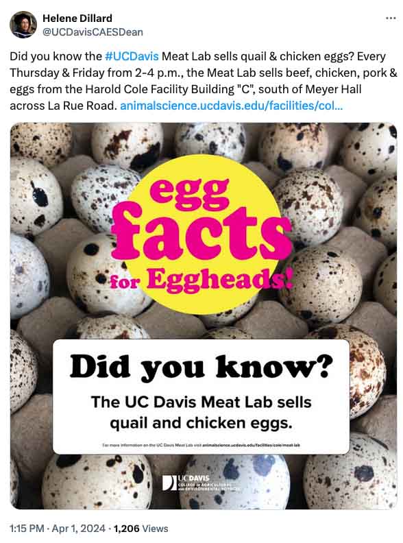 A tweet by @˽̳DavisCAESDean that reads "Did you know the #˽̳Davis Meat Lab sells quail & chicken eggs? Every Thursday & Friday from 2-4 p.m., the Meat Lab sells beef, chicken, pork & eggs from the Harold Cole Facility Building "C", south of Meyer Hall across La Rue Road. animalscience.ucdavis.edu/facilities/col..." The image shows quail eggs with text overlays "egg facts for Eggheads" and "Did you know? The ˽̳ Davis Meat Lab sells quail and chicken eggs."