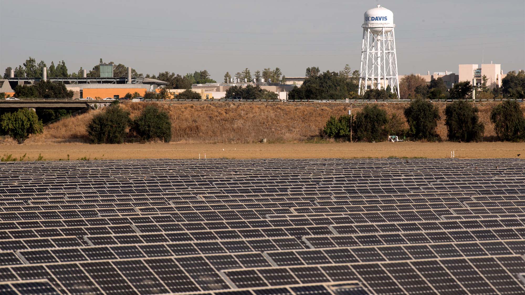Solar farm with ˽̳ Davis water tower in background.