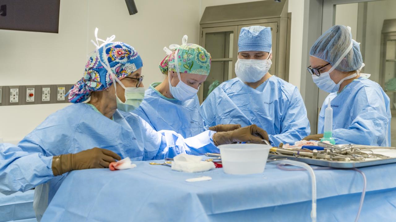 ˽̳ Davis Veterinary Medical Teaching Hospital has opened the Center for Advanced Veterinary Surgery. Veterinary surgeons and technicians stand in front of a table with surgical tools at the center, which offers state-of-the-art operating rooms for orthopedic surgeries. (˽̳ Davis School of Veterinary Medicine)