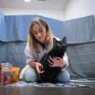 Animal Science Ph.D. student Jen Link holds a black cat on the floor of the Sacramento SPCA. She is researching the best way to create a stress-free nail trimming experience for the animal and humans. (Jael Mackendorf/˽̳ Davis)
