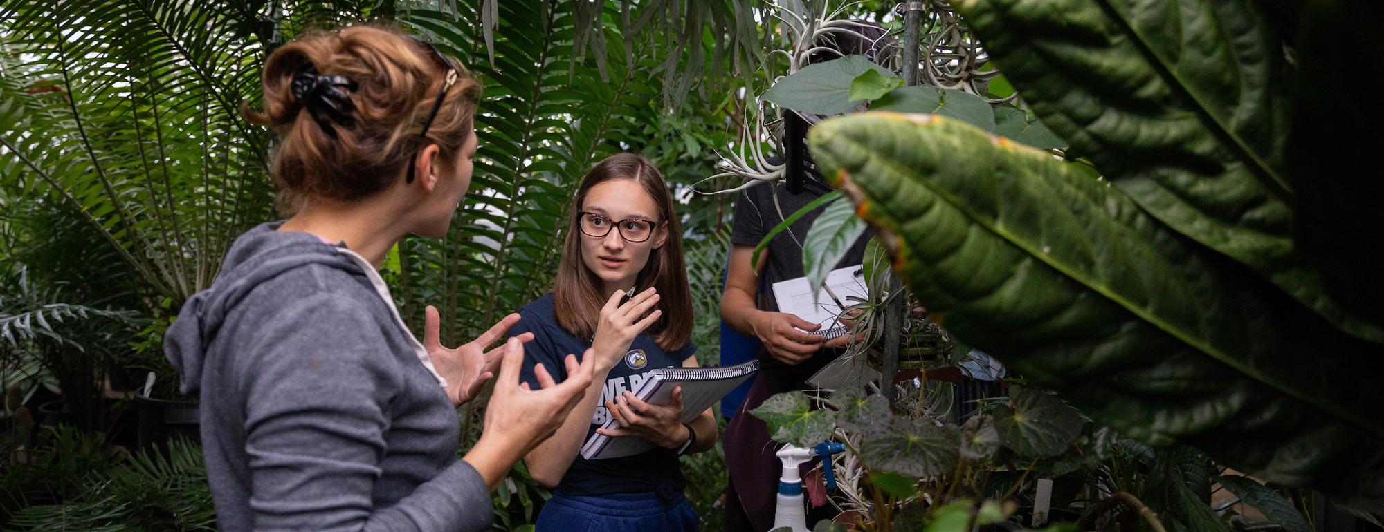 A student discusses a plant specimen with her professor in one of ˽̳ Davis's several green houses
