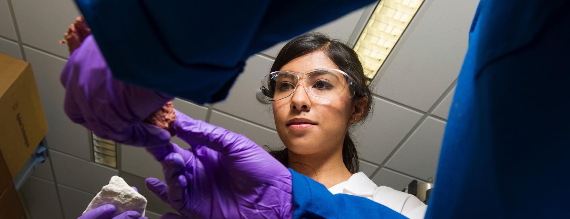 A female student works with a researcher in a lab on the ˽̳ Davis campus
