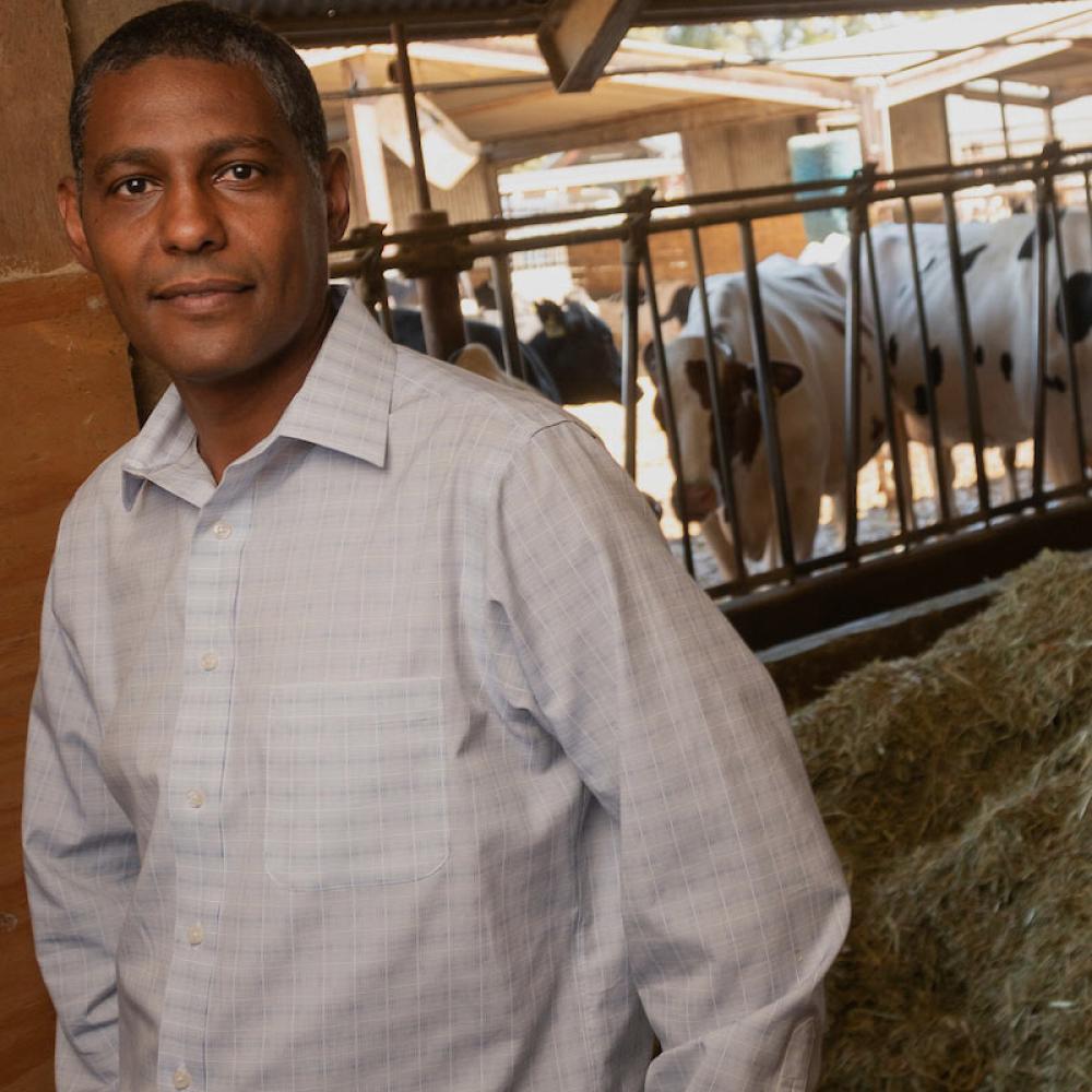 A dairy scientist poses in front of his cows at the ˽̳ Davis dairy