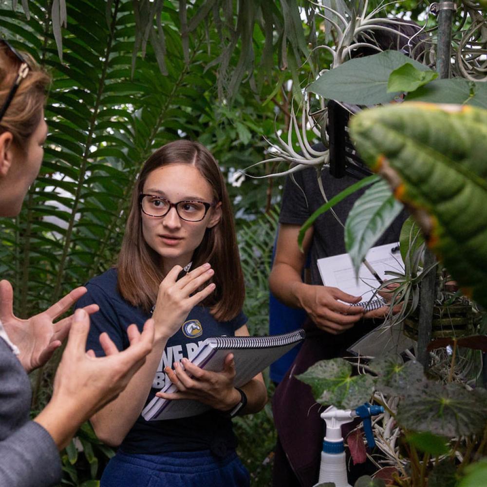 A student discusses a plant specimen with her professor in one of ˽̳ Davis's several green houses